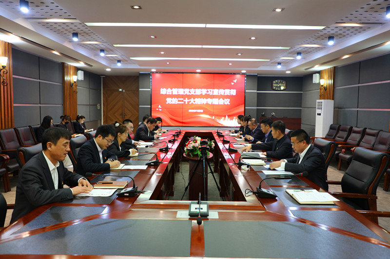 集团综合管理党支部组织开展学习宣传贯彻党的二十大精神专题会议